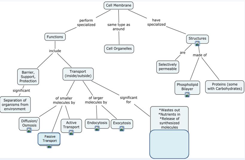 Can You Complete This Concept Map About Protein Structure And Function